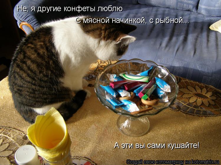 Котоматрица: Не, я другие конфеты люблю С мясной начинкой, с рыбной... А эти вы сами кушайте!