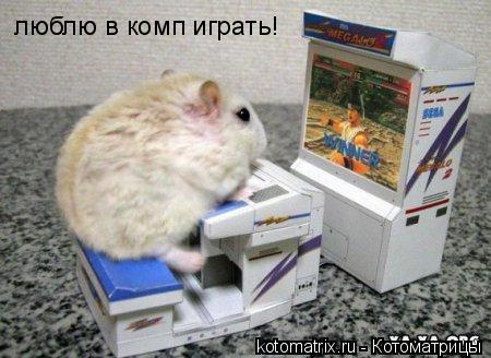 Котоматрица: люблю в комп играть!