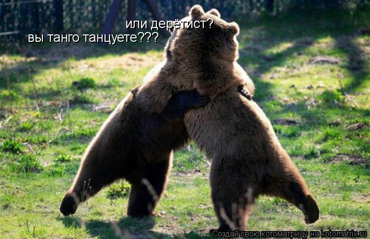 Котоматрица: вы танго танцуете??? или дерётист?
