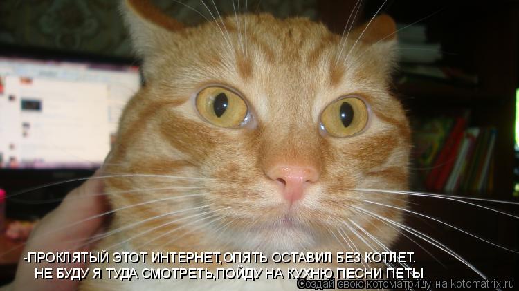 Котоматрица: -ПРОКЛЯТЫЙ ЭТОТ ИНТЕРНЕТ,ОПЯТЬ ОСТАВИЛ БЕЗ КОТЛЕТ. НЕ БУДУ Я ТУДА СМОТРЕТЬ,ПОЙДУ НА КУХНЮ ПЕСНИ ПЕТЬ!