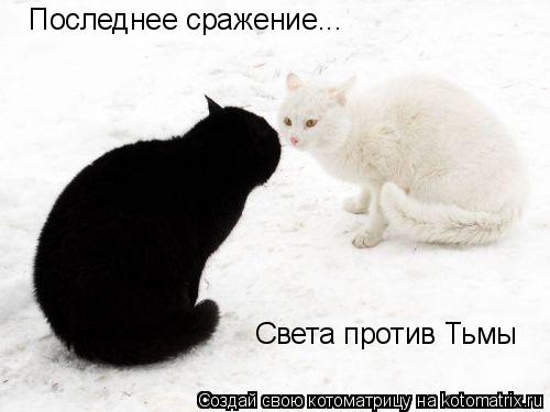 Котоматрица: Последнее сражение... Света против Тьмы