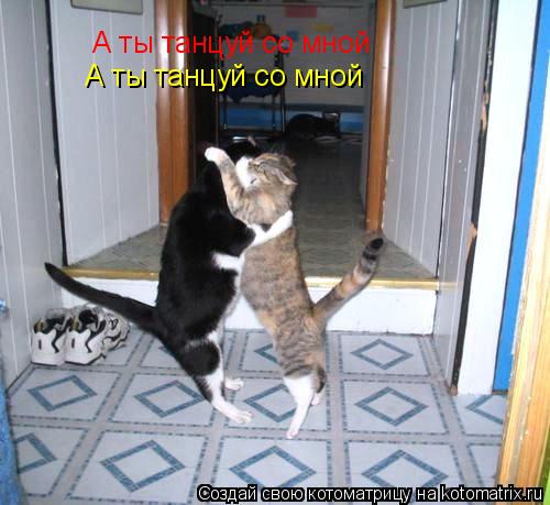 Котоматрица: А ты танцуй со мной  А ты танцуй со мной