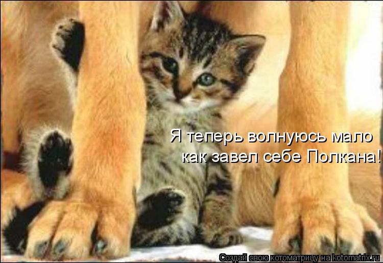 Я теперь волнуюсь мало как завел себе Полкана!... Котоматрица: Я теперь волнуюсь мало как завел себе Полкана!