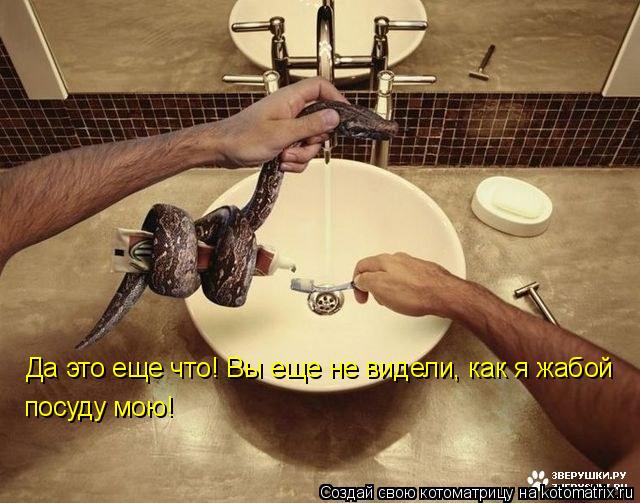 Да это еще что! Вы еще не видели, как я жабой посуду мою!... Котоматрица: Да это еще что! Вы еще не видели, как я жабой посуду мою!