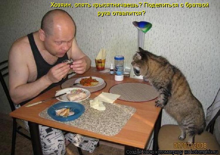 Котоматрица: Хозяин, опять крысятничаешь? Поделиться с братвой рука отвалится?