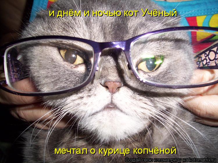 Котоматрица: и днём и ночью кот Учёный мечтал о курице копчёной