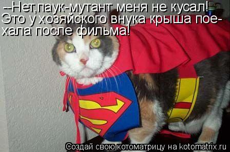 Котоматрица: --Нет,паук-мутант меня не кусал! Это у хозяйского внука крыша пое- хала после фильма!