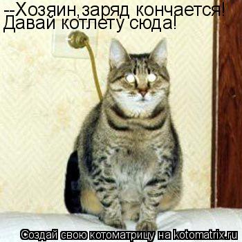 Котоматрица: --Хозяин,заряд кончается! Давай котлету сюда!