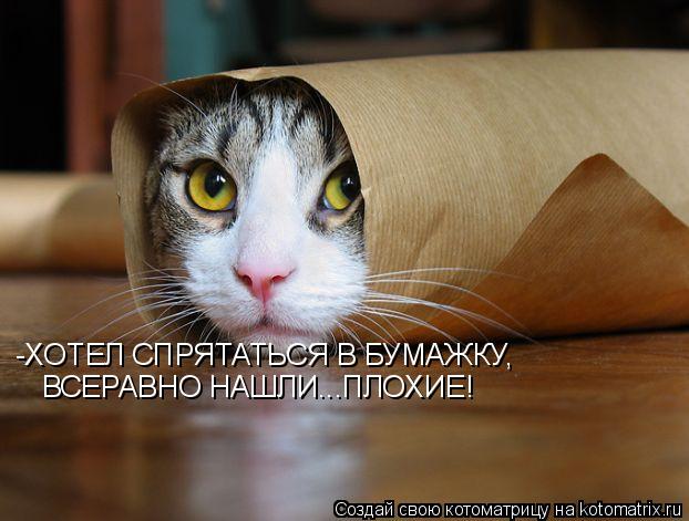 Котоматрица: -ХОТЕЛ СПРЯТАТЬСЯ В БУМАЖКУ, ВСЕРАВНО НАШЛИ...ПЛОХИЕ!