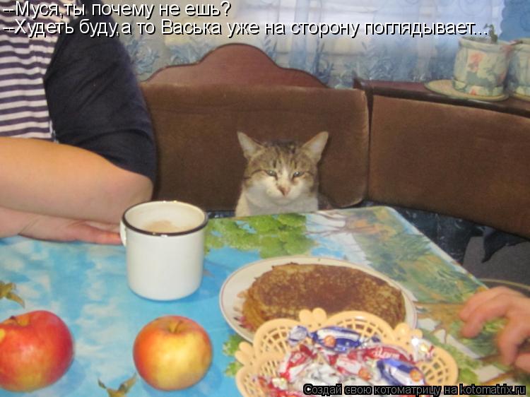 Котоматрица: --Муся,ты почему не ешь? --Худеть буду,а то Васька уже на сторону поглядывает...