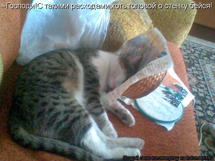 Котоматрица: --Господи!С такими расходами хоть головой о стенку бейся!
