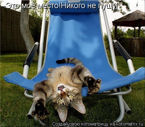 Котоматрица: --Это моё место!Никого не пущу!