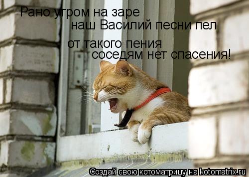 Котоматрица: Рано утром на заре  от такого пения наш Василий песни пел соседям нет спасения!