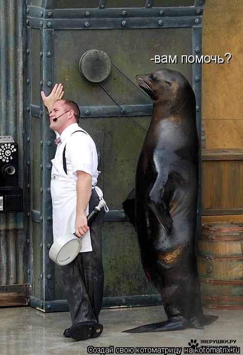 Котоматрица: -вам помочь?