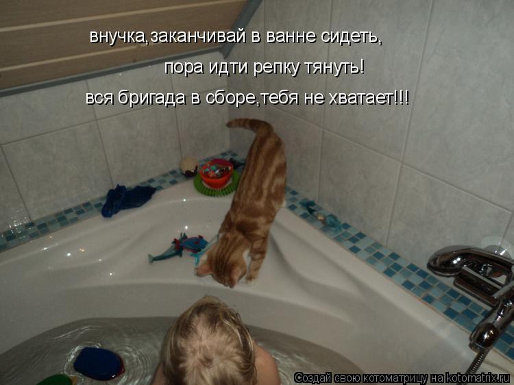 Котоматрица: внучка,заканчивай в ванне сидеть, пора идти репку тянуть! вся бригада в сборе,тебя не хватает!!!
