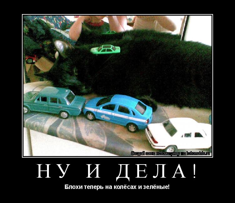 Котоматрица: Ну и дела! Блохи теперь на колёсах и зелёные!