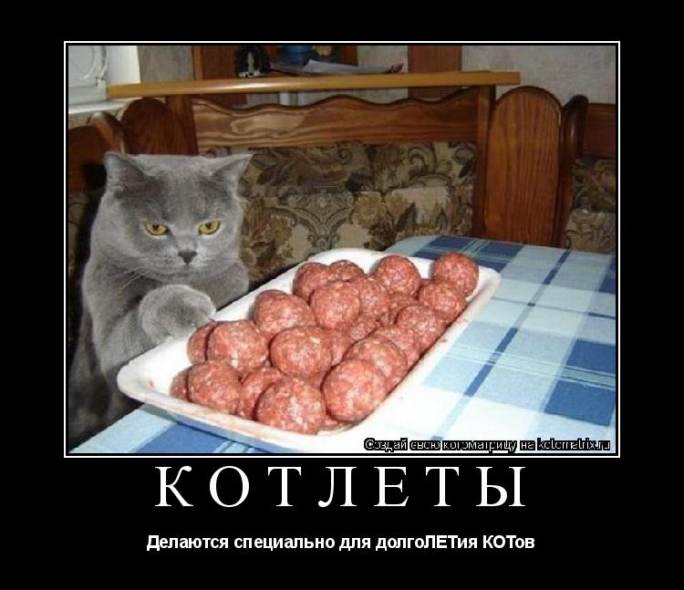 Котлеты Делаются специально для долгоЛЕТия КОТов... Котоматрица: Котлеты Делаются специально для долгоЛЕТия КОТов
