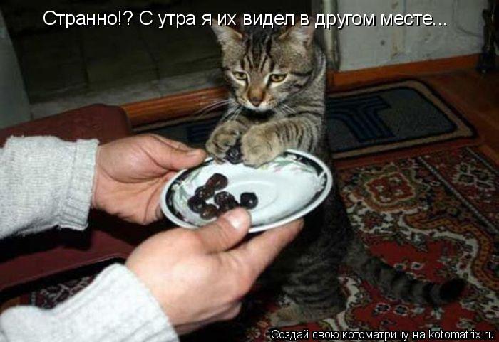 Котоматрица: Странно!? С утра я их видел в другом месте...