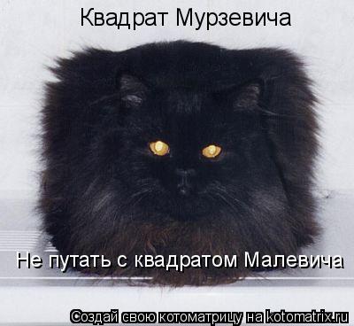 Котоматрица: Квадрат Мурзевича Не путать с квадратом Малевича