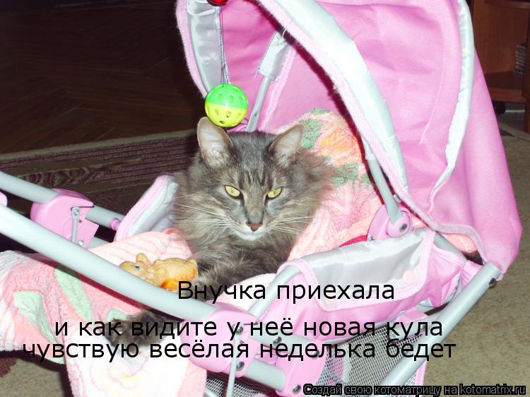 Котоматрица: Внучка приехала и как видите у неё новая кула чувствую весёлая неделька бедет