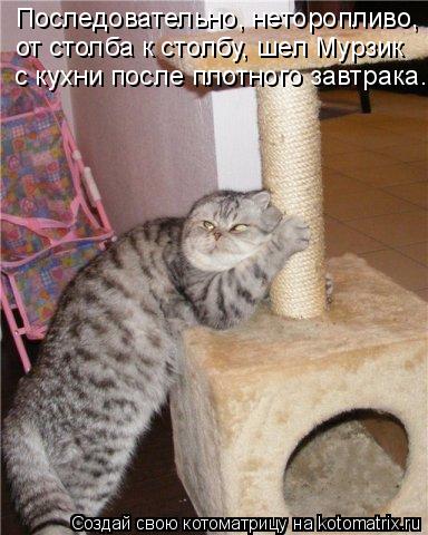 Котоматрица: Последовательно, неторопливо, от столба к столбу, шел Мурзик  с кухни после плотного завтрака...
