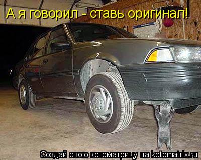 Котоматрица: А я говорил - ставь оригинал!