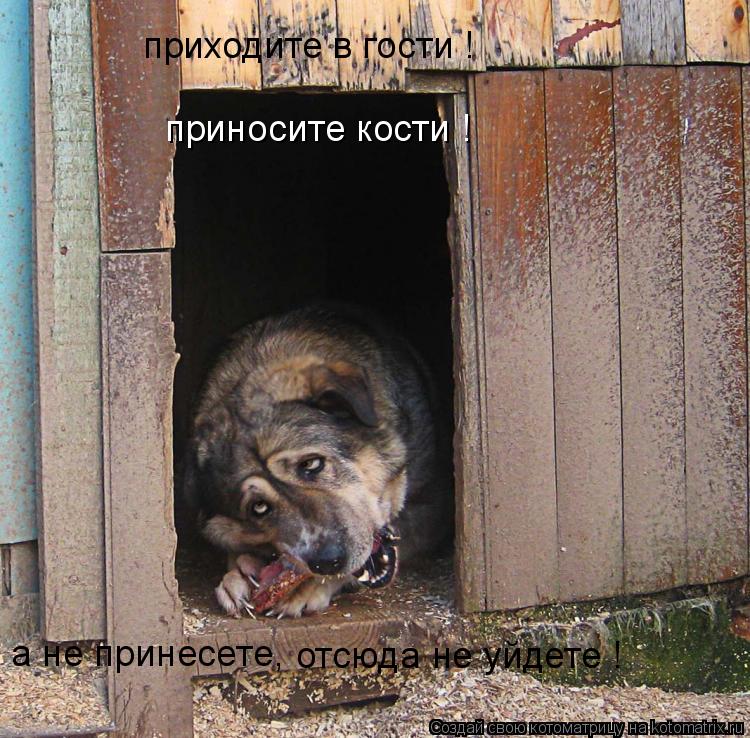 Котоматрица: приходите в гости ! приносите кости ! а не принесете, отсюда не уйдете !