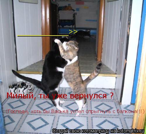 Котоматрица: Милый, ты уже вернулся ? (Господи, хоть бы Васька успел спрыгнуть с балкона!!!) ____________>>