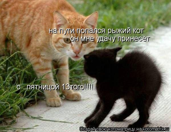 Котоматрица: на пути попался рыжий кот он мне удачу принесёт с   пятницой 13того!!!!