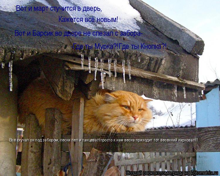 Котоматрица: Вот и март стучится в дверь, Кажется всё новым! Вот и Барсик во дворе не слезал с забора- -Где ты Мурка?!Где ты Кнопка?! Всё скучал он под заборо