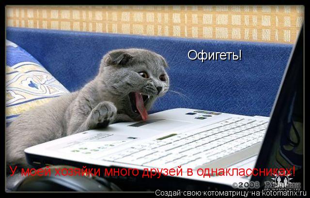 Котоматрица: Офигеть! У моей хозяйки много друзей в однаклассниках!