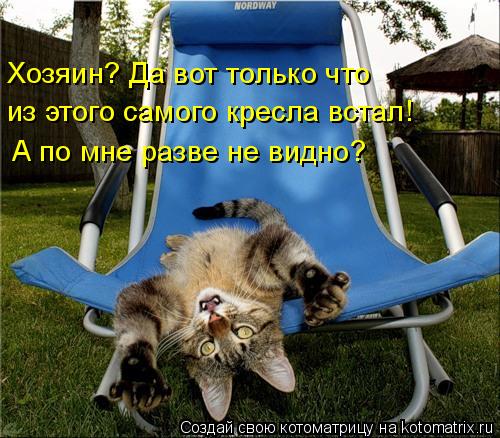 Котоматрица: Хозяин? Да вот только что  из этого самого кресла встал!  А по мне разве не видно?