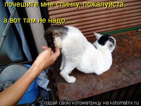 Котоматрица: почешите мне спинку, пожалуйста, а вот там не надо.....