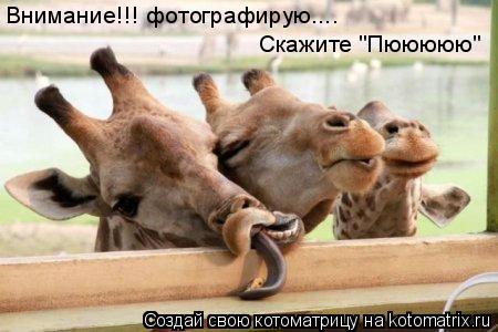 Котоматрица: Внимание!!! фотографирую.... Скажите "Пююююю"