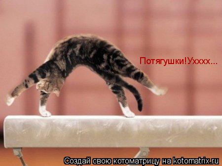Котоматрица: Потягушки!Ухххх...