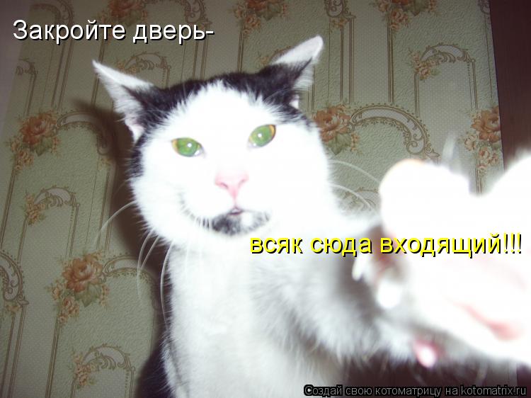 Котоматрица: Закройте дверь- всяк сюда входящий!!!