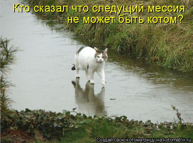 Котоматрица: Кто сказал что следущий мессия  не может быть котом?