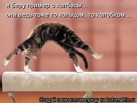 Котоматрица: я беру пример с колбасы... она ведь тоже то кольцом, то колобком...