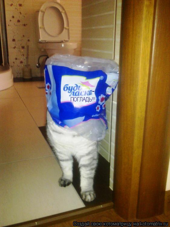 Котоматрица: - ПОГЛАДЬ!!!