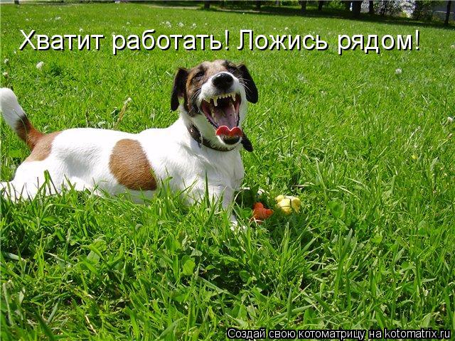 Котоматрица: Хватит работать! Ложись рядом!