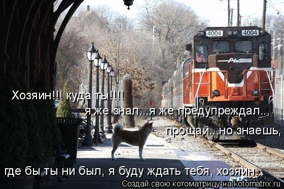 Котоматрица: Хозяин!!! куда ты!!!! я же знал...я же предупреждал... прощай...но знаешь, где бы ты ни был, я буду ждать тебя, хозяин...