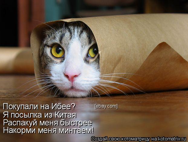 Котоматрица: Покупали на Ибее? Я посылка из Китая Распакуй меня быстрее Накорми меня минтаем! [ebay.com]