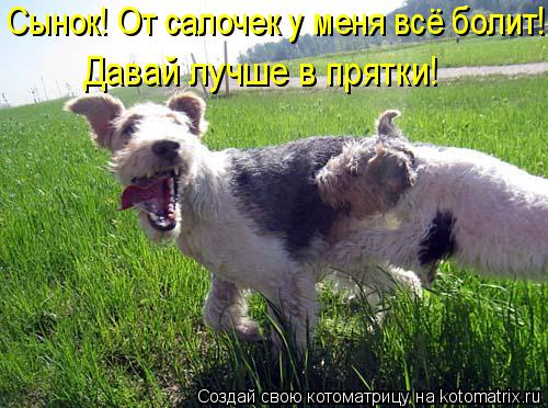 Котоматрица: Сынок! От салочек у меня всё болит!  Давай лучше в прятки!