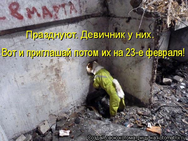 Котоматрица: Празднуют. Девичник у них.  Вот и приглашай потом их на 23-е февраля!