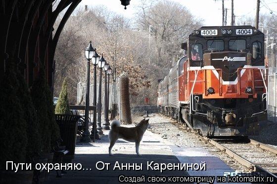 Котоматрица: Пути охраняю... От Анны Карениной