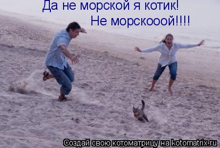 Котоматрица: Да не морской я котик!  Не морскооой!!!!