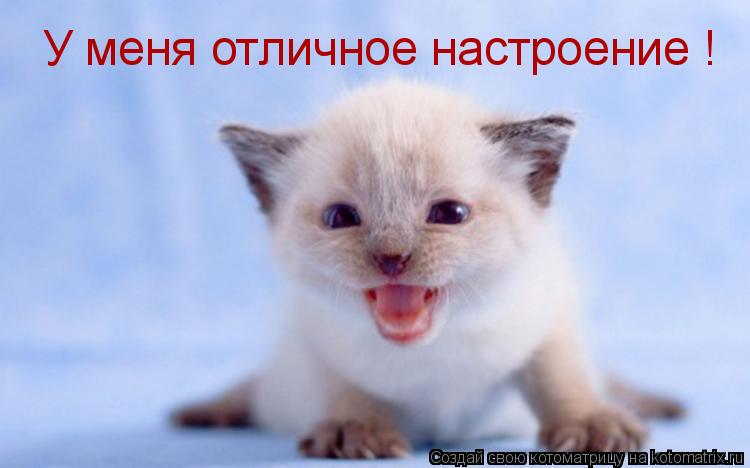 Котоматрица: У меня отличное настроение !