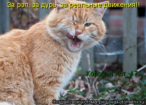 Котоматрица: За рэп, за дурь, за реальные движения!!  Короч, я Кот_47