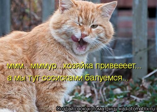 Котоматрица: ммм...мммур...хозяйка привеееет... а мы тут сосисками балуемся...