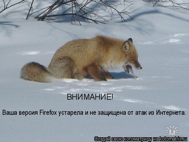 Котоматрица: ВНИМАНИЕ!  Ваша версия Firefox устарела и не защищена от атак из Интернета.